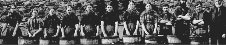 Barrel packers in a herring curing yard
